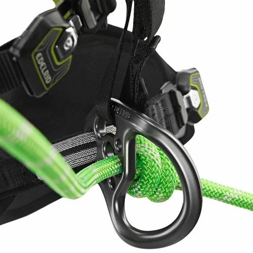 Edelrid TreeRex Ⅱ | 御庭番