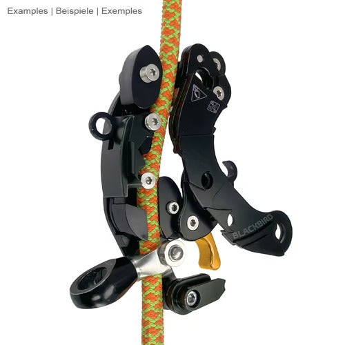 【美品★未開封】BLACK BIRD セット出品 ART BlackBird | 御庭番